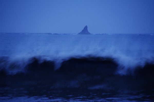 湘南 茅ヶ崎 2020.03.10