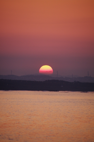 湘南 茅ヶ崎 2020.04.08