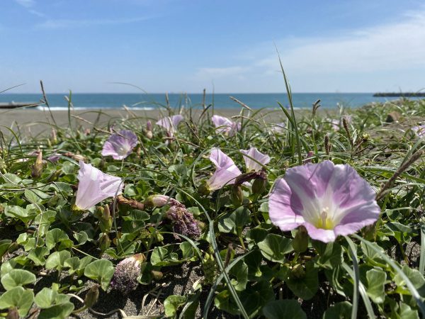 茅ヶ崎の海写真、湘南 茅ヶ崎 2021.04.23