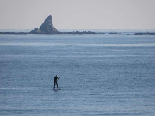 茅ヶ崎の海写真、SUP日和 (2021/12/24)