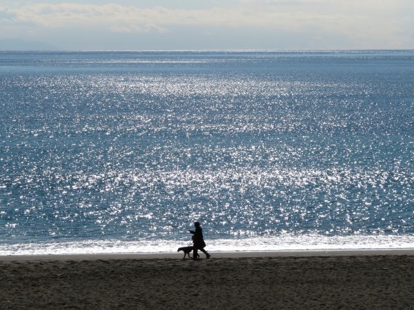 茅ヶ崎の海写真 (2022/01/31)