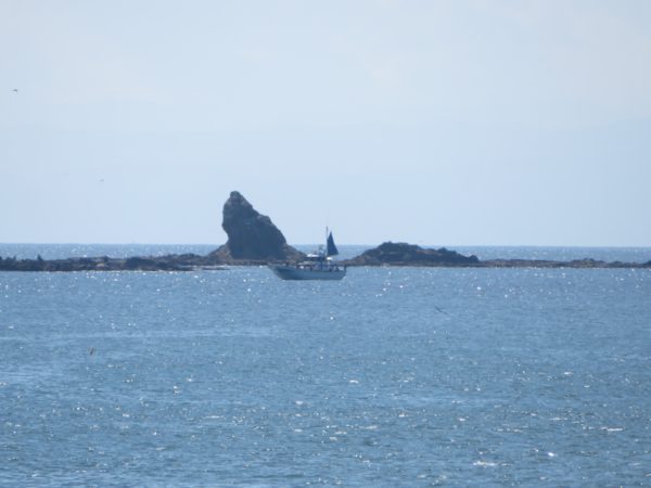 茅ヶ崎の海と空と烏帽子岩と江ノ島とサーフィンの写真(2022/09/25)