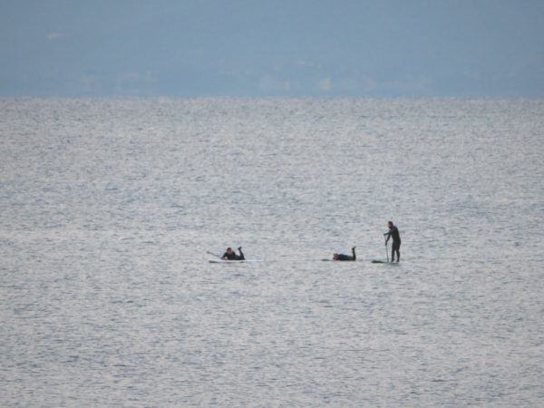 茅ヶ崎の海写真 @ 2022/12/31