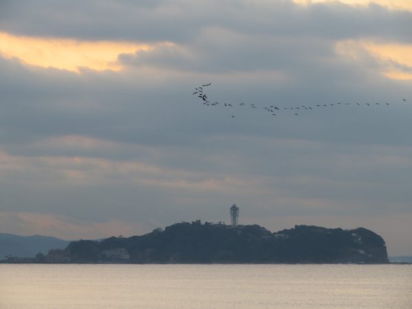 茅ヶ崎の海写真 @ 2023/02/17