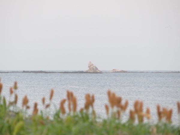 茅ヶ崎の海写真 @ 2023/04/13