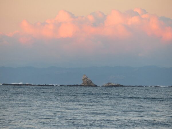 茅ヶ崎の海写真 @ 2024/01/24