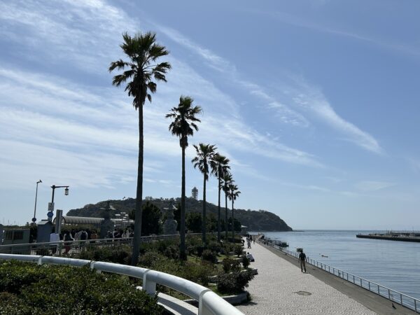 江ノ島の海写真 @ 2024/03/30